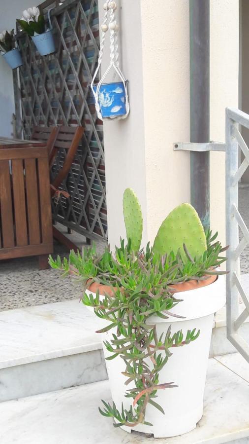 Sea Beach Relax Tirrenia Zewnętrze zdjęcie